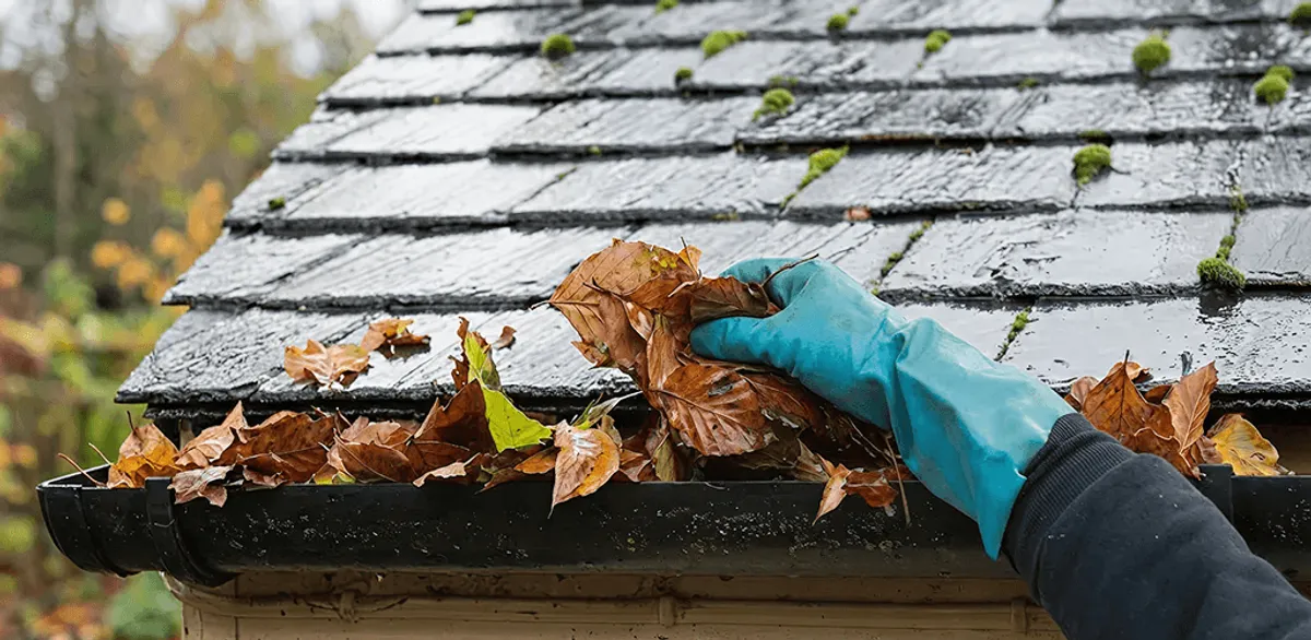 Gutter cleaning technician clearing wet leaves from roof gutters in Provo, UT
